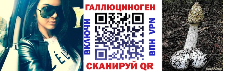 Галлюциногенные грибы Cubensis  магазин продажи   Лукоянов 